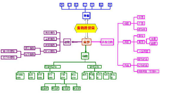 生物系统