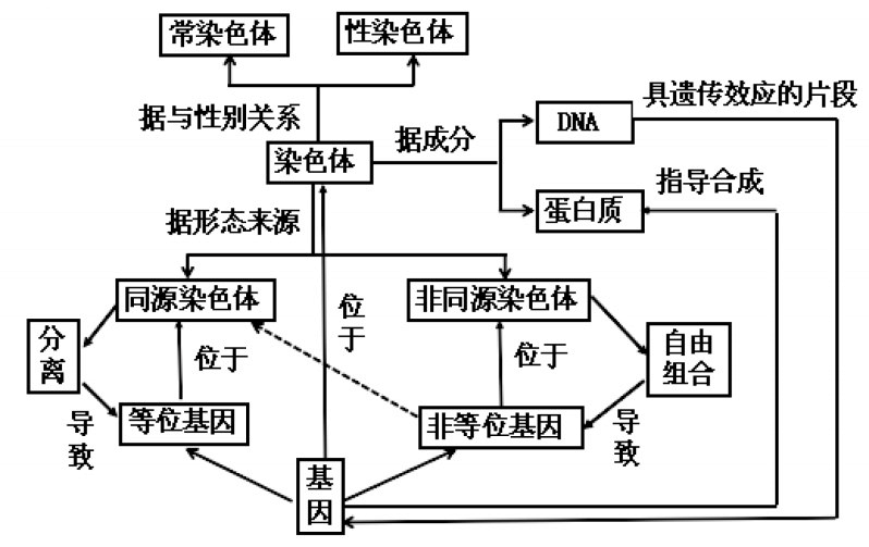 进化