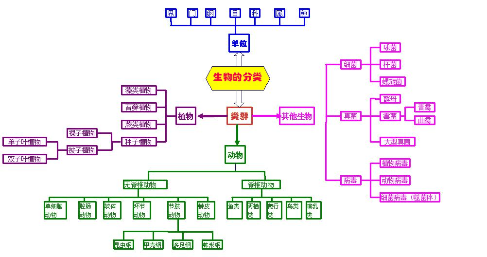 地位未定