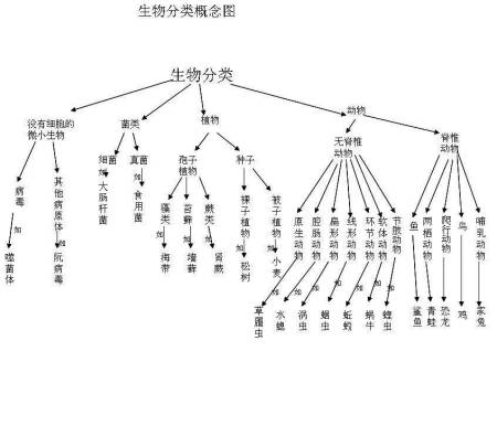 保留名称