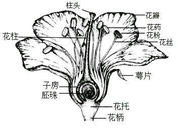 模式属