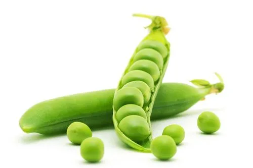 豌豆