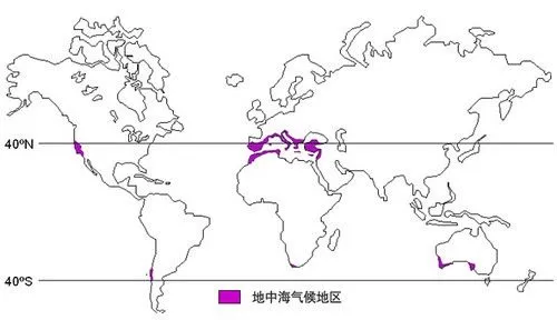 地中海式气候