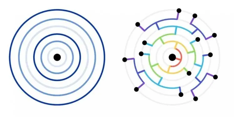 分子钟