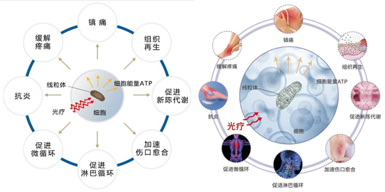 光与健康:发展历史及技术应用