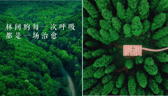 小冰芯 心爽夏凉被