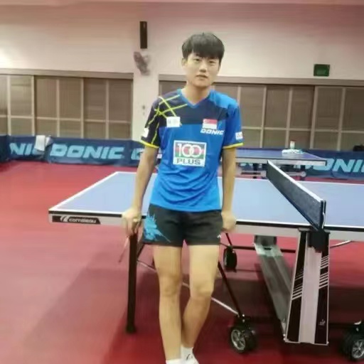 黄晨(乒乓球运动员)