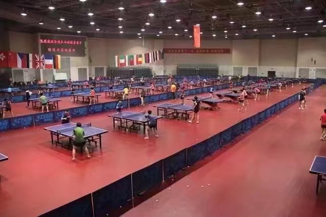 黄晨(乒乓球运动员)