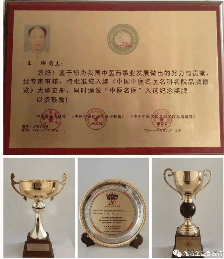 中医王琳
