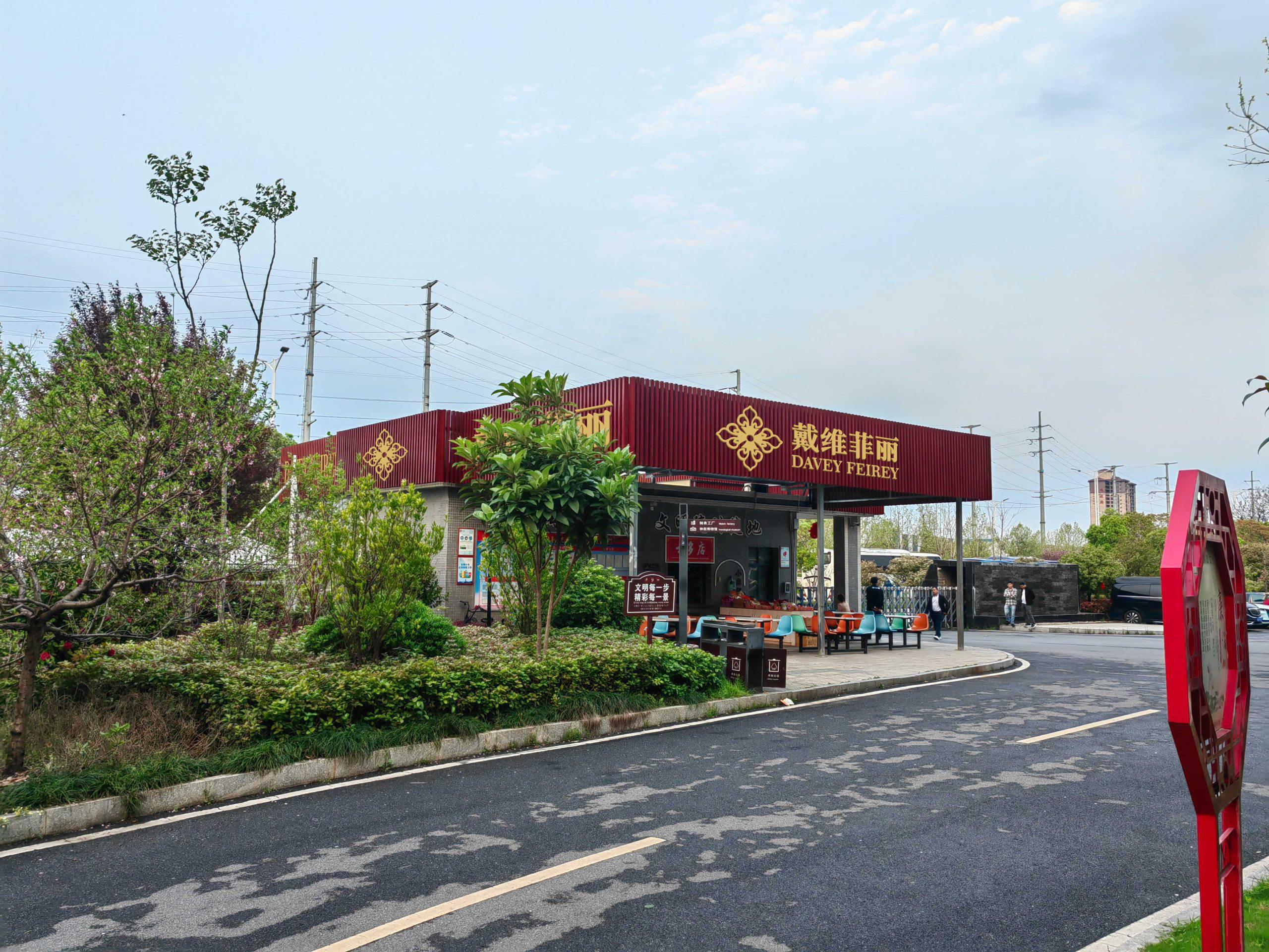 戴维菲丽
