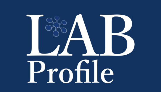 LAB Profile(语言解码)