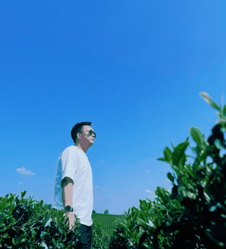 沈伟(营销战略师)