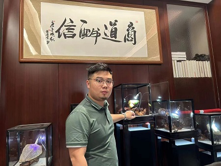 梵享翡翠常宏