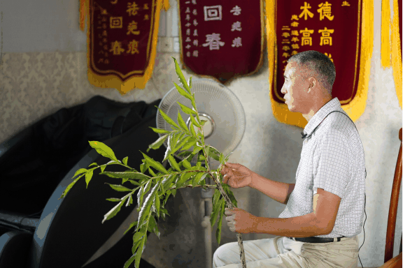 陈石泉