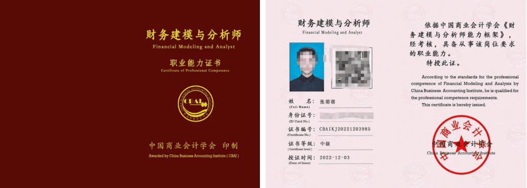 财务建模与分析师
