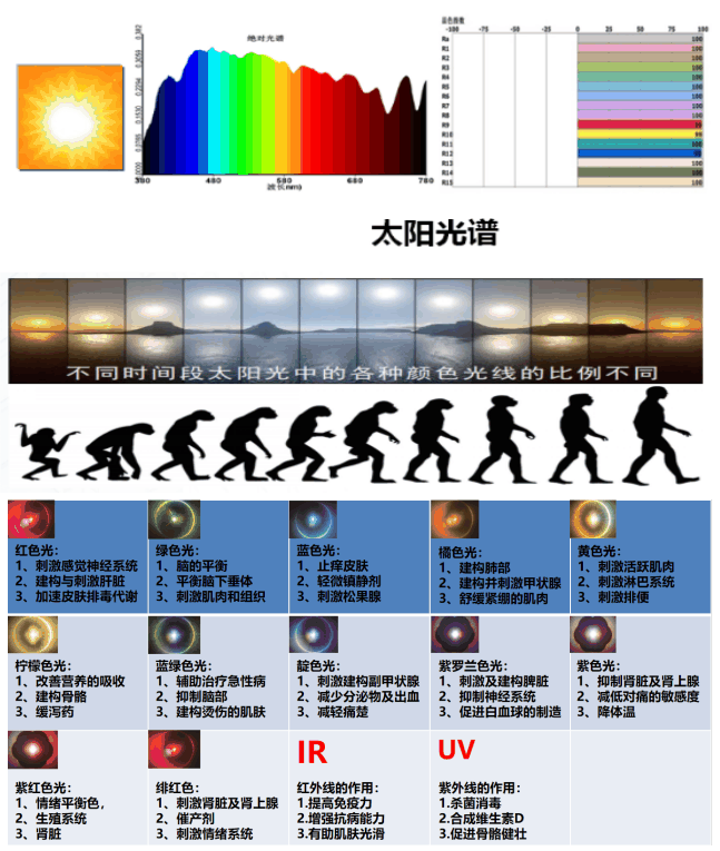 健康之芯的标准与标识