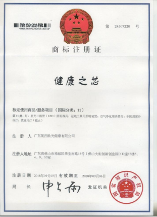 健康之芯的标准与标识
