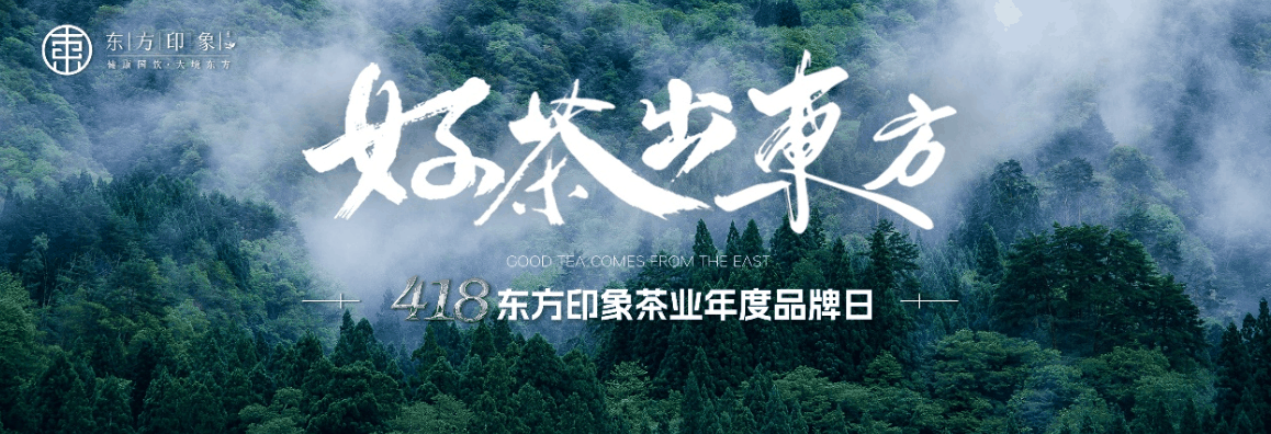 东方印象茶业