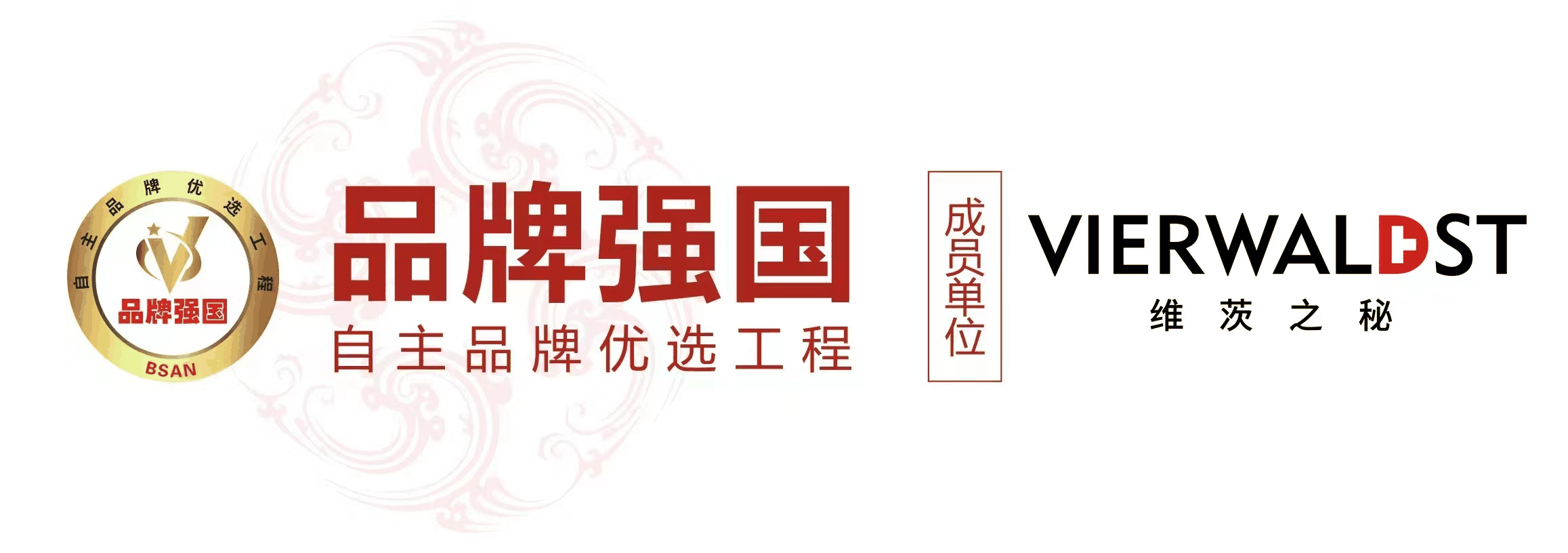 维茨之秘
