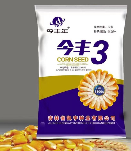 今丰3(玉米品种)