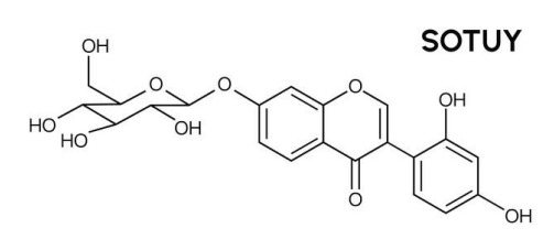 SOTUY