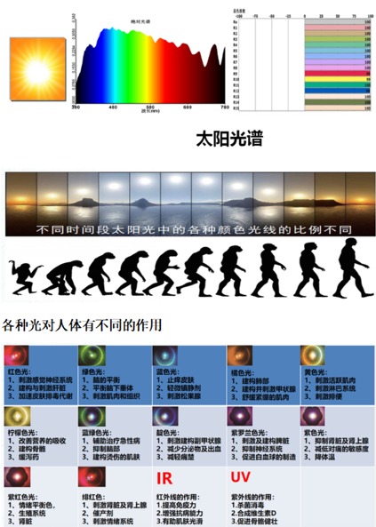 健康之光