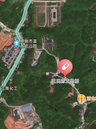 王氏药工
