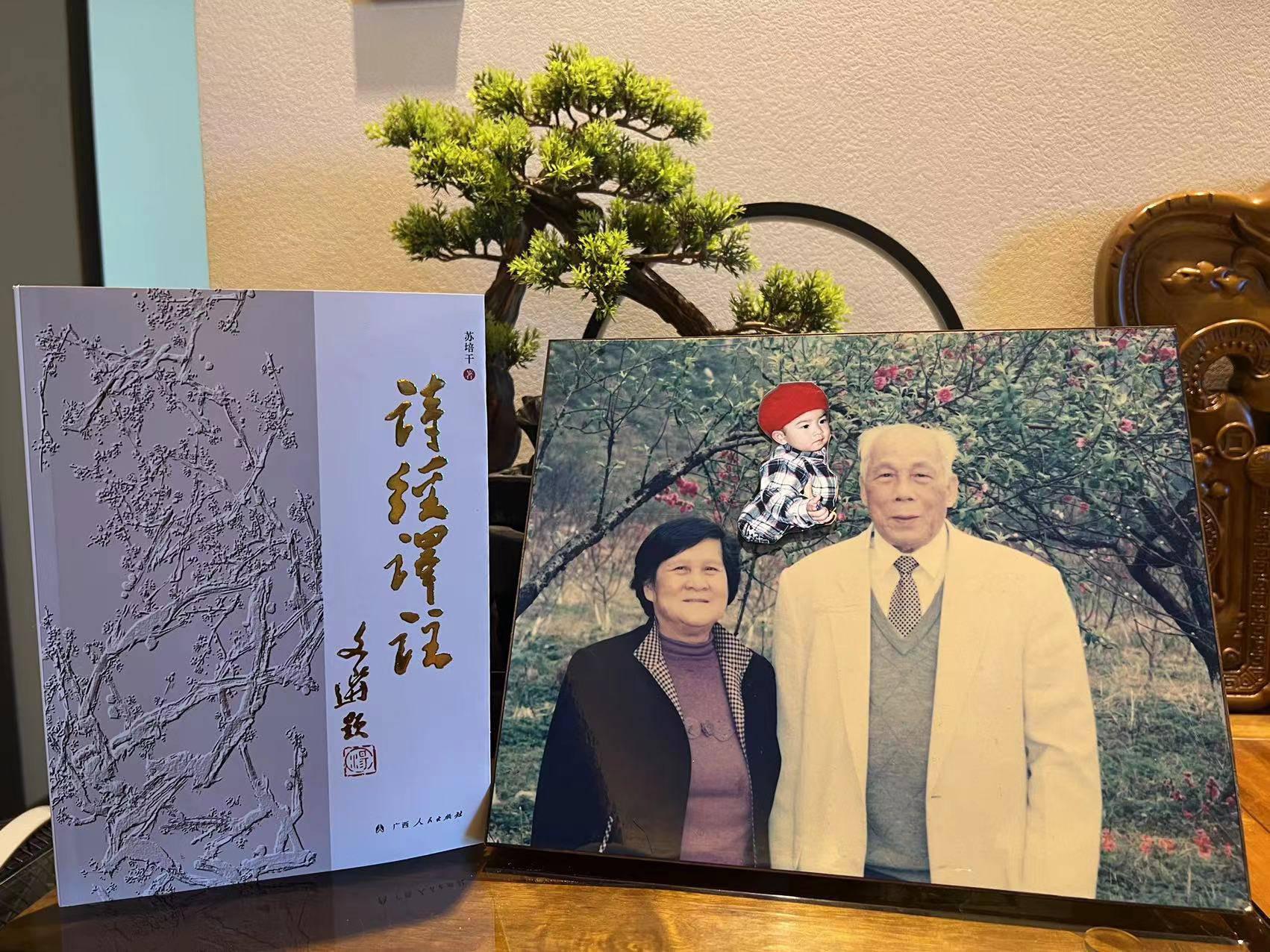 苏培干