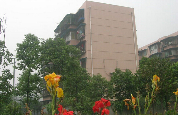 成都东光小区 成都东光小区