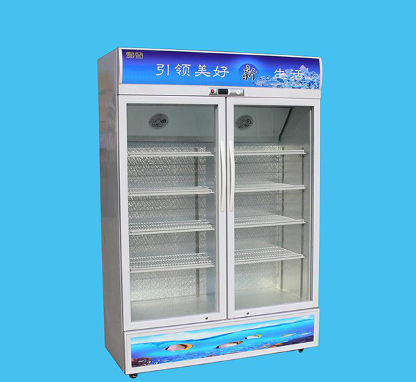 立式冰柜选购技巧 立式冰柜