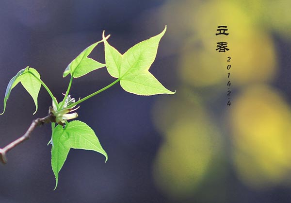 立春节气养生知识 立春