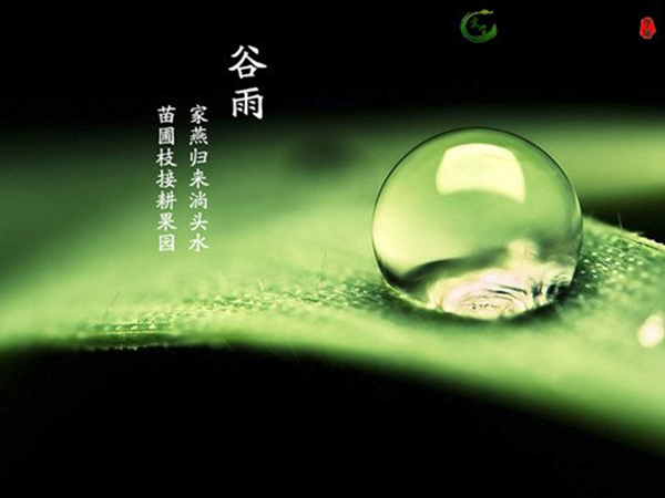 谷雨是什么意思 谷雨