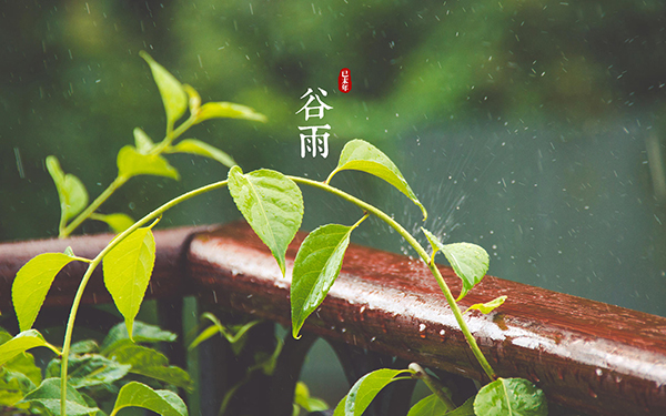 谷雨节气养生知识 谷雨