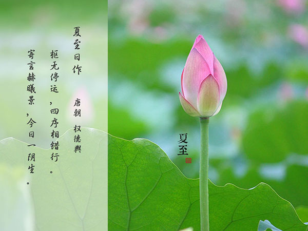 夏至节气养生知识 夏至