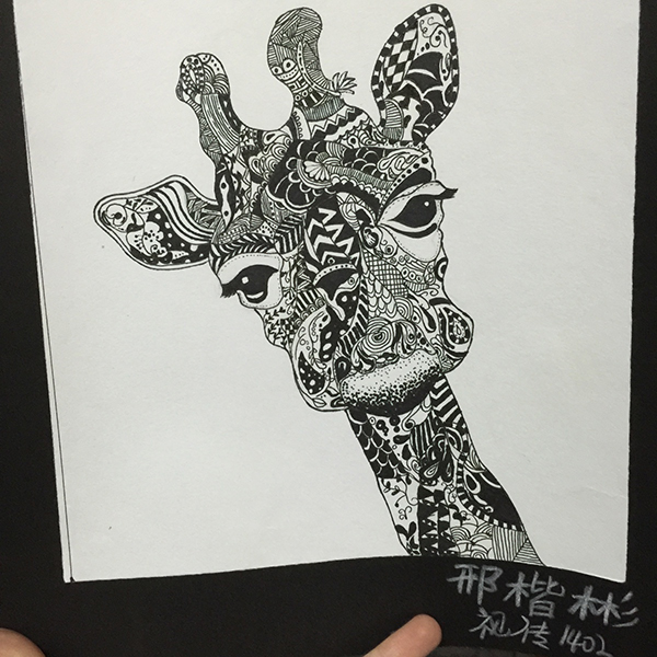 黑白装饰画教案 黑白装饰画