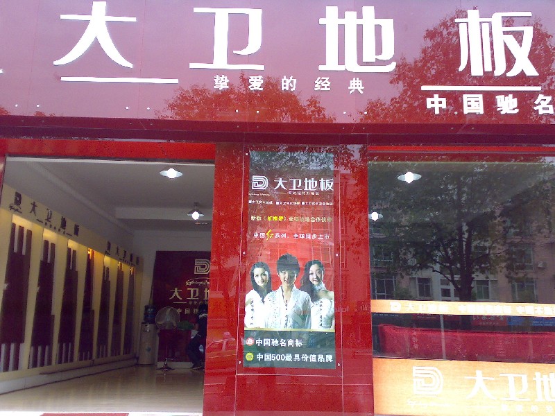 大卫地板 大卫地板