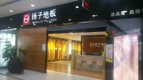 扬子强化复合地板 杨子强化地板