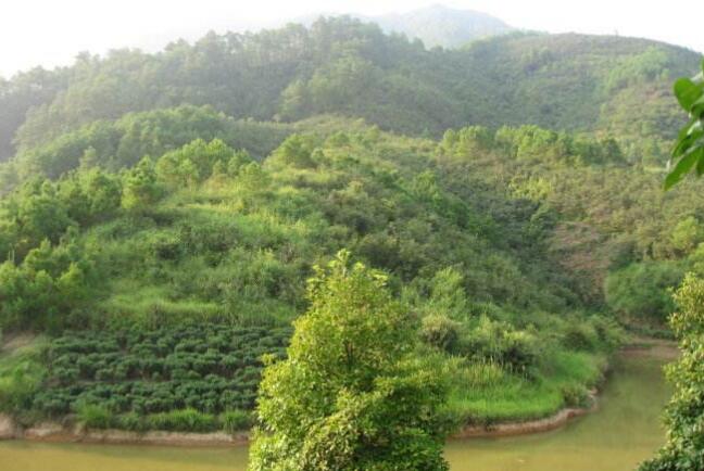 中国风水宝地 风水宝地