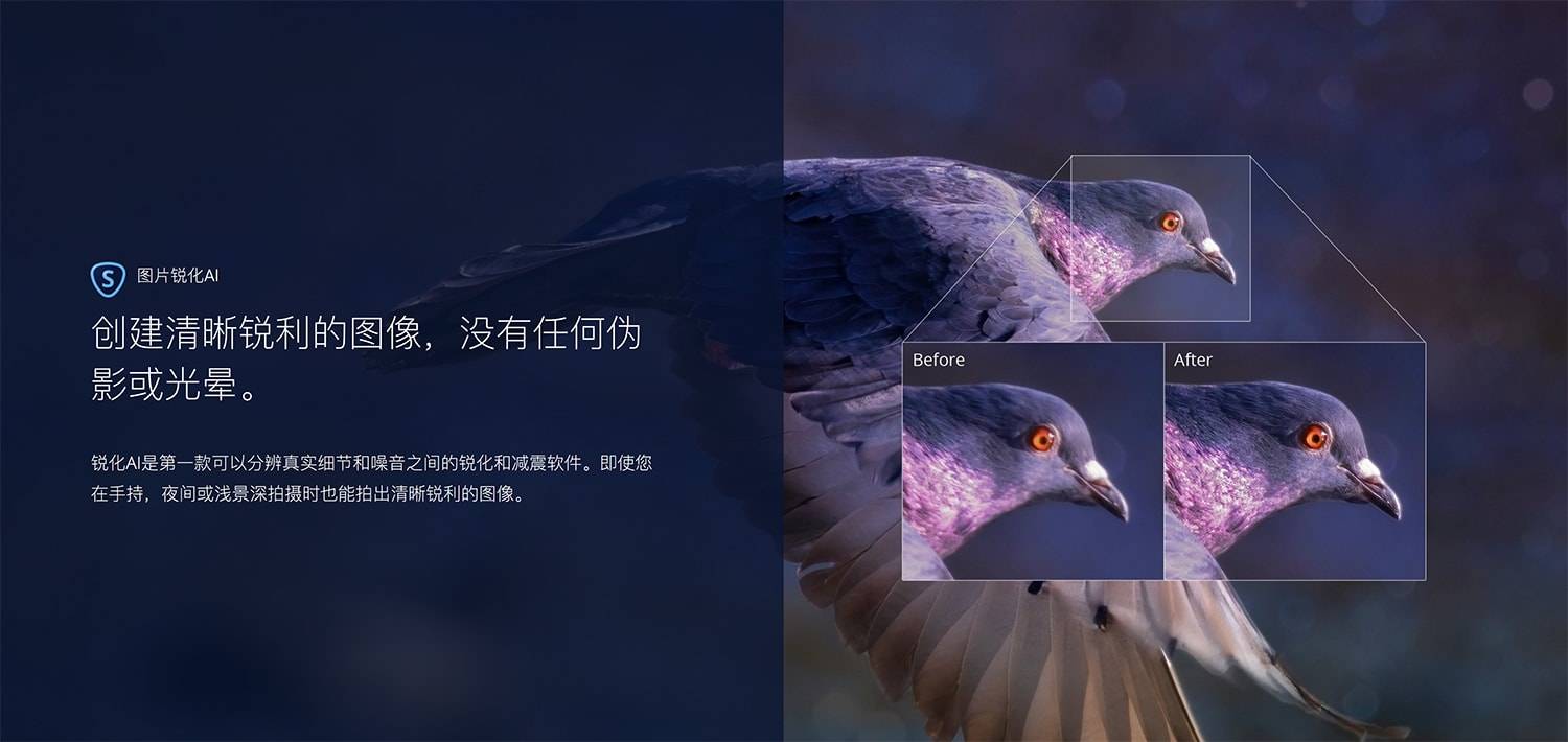 Topaz Sharpen AI.v1.3.1 人工智能清晰锐化