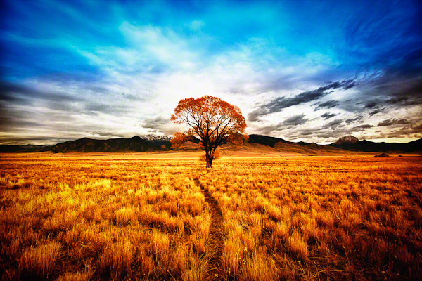 【PS插件】Nik software HDR 专业HDR图像创作