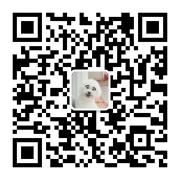 iOS 人机界面指南精简版笔记之界面元素：Bars