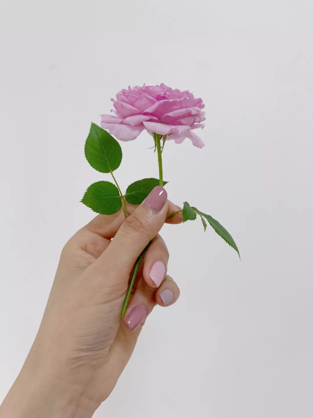 高手出品!这是一篇不看会后悔的配色干货!