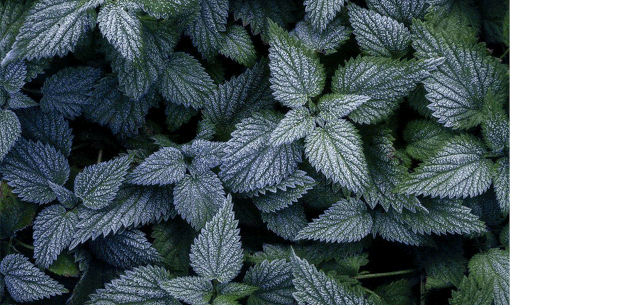 配色弱不用怕,用这个方法给你的配色轻松加「滤镜」