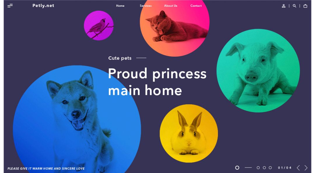 超实用！零基础新手也能轻松学会的配色技巧