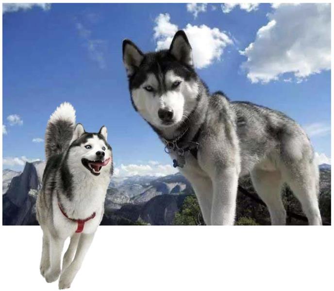 如何从杂志里学会图片修饰方法?来看高手的平面教程!