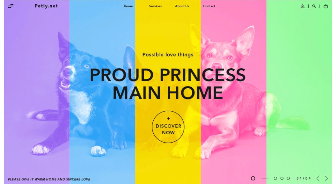 超实用！零基础新手也能轻松学会的配色技巧