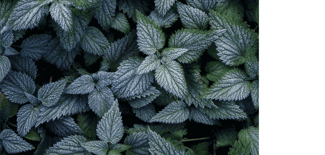 配色弱不用怕,用这个方法给你的配色轻松加「滤镜」