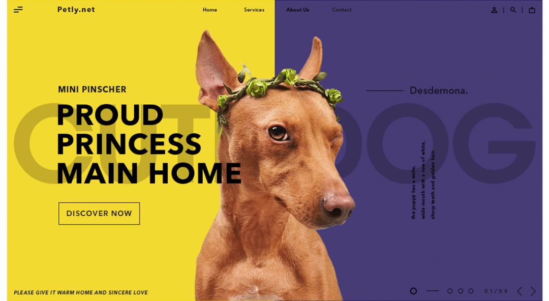 超实用！零基础新手也能轻松学会的配色技巧