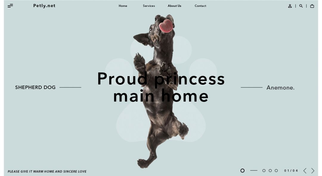 超实用！零基础新手也能轻松学会的配色技巧