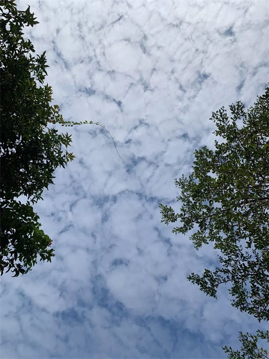 拍一张照片，就能做出一幅海报！